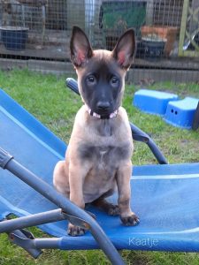 273014883 5350129028350531 6347242800358752471 n