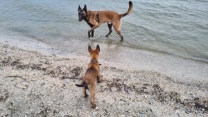 273179170 1407020536398842 6335169395992505253 n