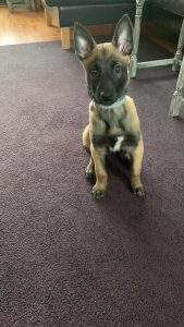 273196479 10226355734909530 5519146303414781759 n