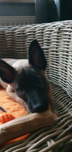 273222729 4769467219812200 7099086265150926390 n