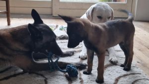 273316671 1402318136869082 7137666148807196421 n