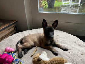 273358878 10227095179423742 700280765161307920 n 1