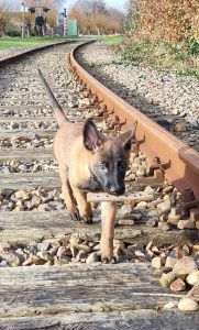 273383973 1404112463356316 6326335459792817464 n