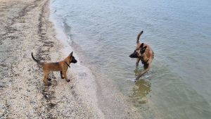 273434473 1407020469732182 3048168195339204649 n