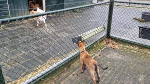 273520305 1406521219782107 2264190824270276493 n