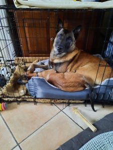 273592658 1039691586585234 8972361534810157518 n