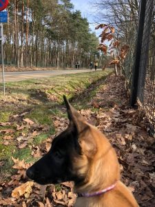 273664990 5593440824006077 7613387625000818827 n