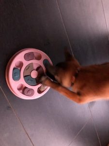 273741518 5605138526169640 4278281523115109460 n