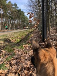 273797802 5593440564006103 928125836020320768 n