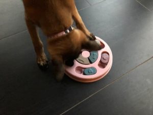 273812160 5605138649502961 2154031510272138754 n