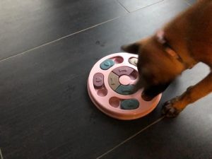 273976384 5605138519502974 8179545148062111290 n