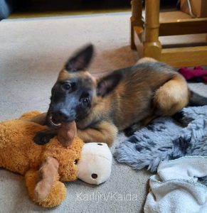 274028924 5413243132039120 2855203279537318268 n