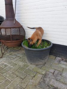 274083212 4854066488033724 468739715560013744 n