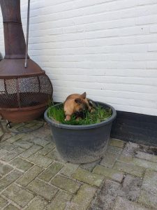 274089329 4854066224700417 1882813433411039874 n