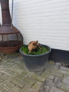 274089329 4854066224700417 1882813433411039874 n 1