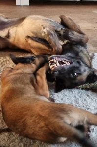 274108101 1411786165922279 5580795487222588714 n