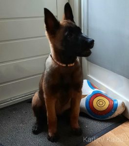 274233184 5413243042039129 3280301718042452063 n 1