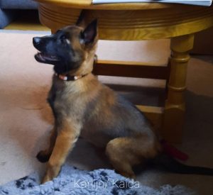 274290608 5413243188705781 3166652656985960096 n