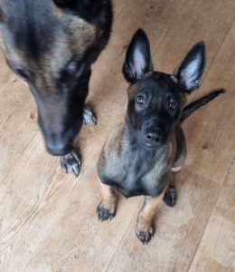 274462530 1416301042137458 5364844672130095868 n