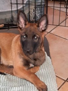 274489022 1049445232276536 2815496095995055810 n