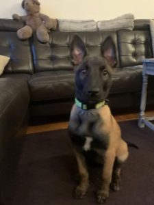 274530603 10226468520969111 5419607057041059084 n