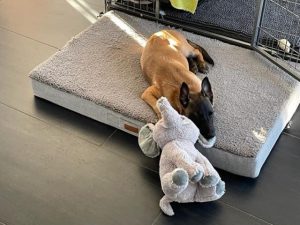 274542596 5646424792041013 1214694149436897151 n