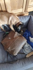 274583582 4832078113551110 3011804726046721139 n