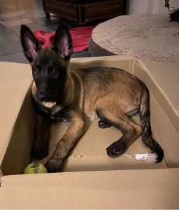 274734873 10227215495511569 2272505050981524365 n