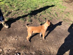 274854336 5637261702957322 3350179317040280325 n