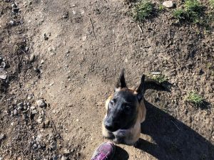 274858648 5637261559624003 2629451857024339179 n