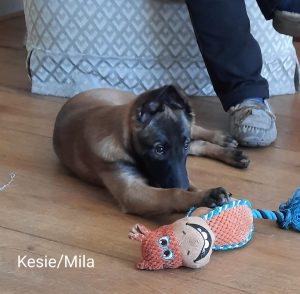 274865869 5461207563909343 590590708325319435 n