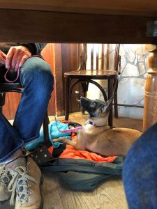 274874671 5637261839623975 5722860150277460628 n