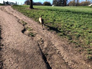 274875603 5637261506290675 4612848814419763769 n