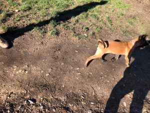 274926829 5637261379624021 2704145073884328513 n