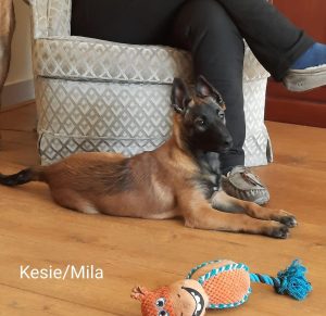 275000584 5461207413909358 5876404722430669735 n 1