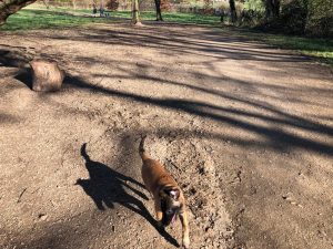 275010688 5637261319624027 2378644265096819635 n