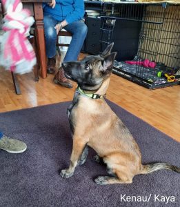 275013812 5461208720575894 8183345309454619360 n