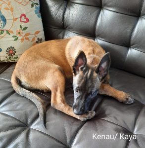 275019954 5461208490575917 2760977671871123619 n