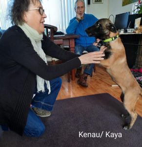 275044712 5461208977242535 5676925270098400611 n