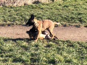 275066967 5654164567933702 3637368247761588495 n