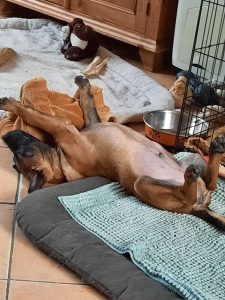 275073194 1053081041912955 6419942665227344699 n