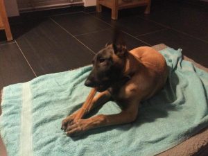 275079987 5666364233380402 920689015436199753 n