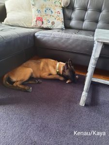 275113175 5461208597242573 9178078309535545235 n