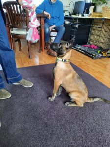 275125873 5461208807242552 2493997007829814894 n