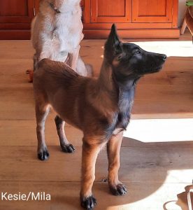 275127252 5461207823909317 4942092379795758395 n