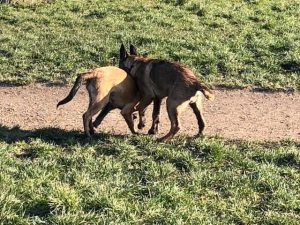 275130220 5654164544600371 3218210763754572191 n