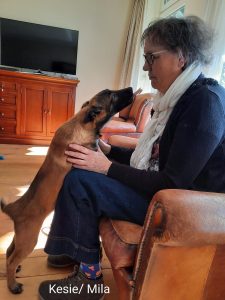 275187128 5461207723909327 6602499279283471191 n