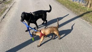 275196371 10227263198784121 264307547643631924 n