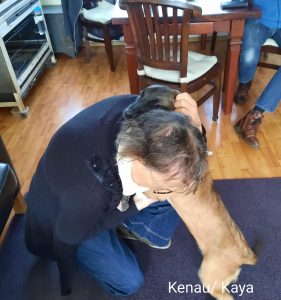 275208866 5461209060575860 5849108917353196522 n