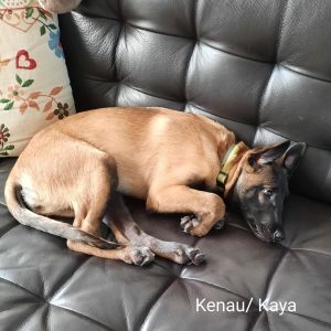 275242527 5461208337242599 1693083225079548300 n